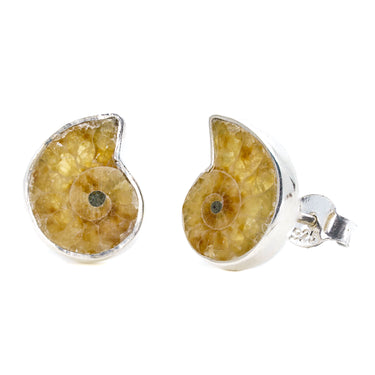 Ammonite Fossil Earring - Fossil Jewellery